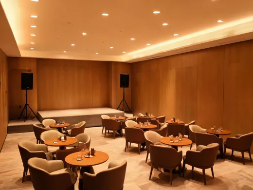 Hospitality performance lounge audio